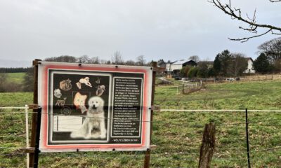 Ein Schild am Rande einer Pferdeweide