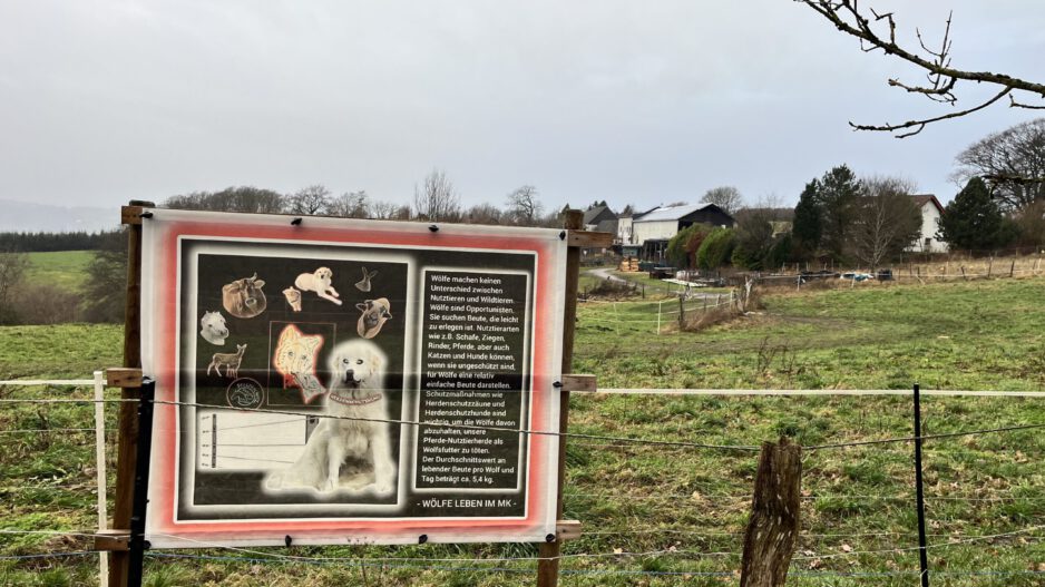 Ein Schild am Rande einer Pferdeweide