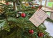 Wunschzettel im Weihnachtsbaum