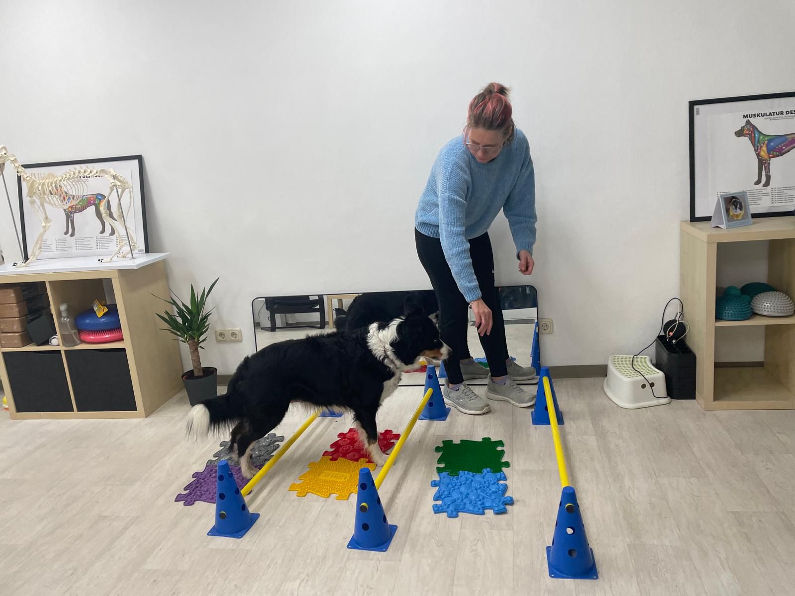 eine Frau trainiert mit einem Hund.