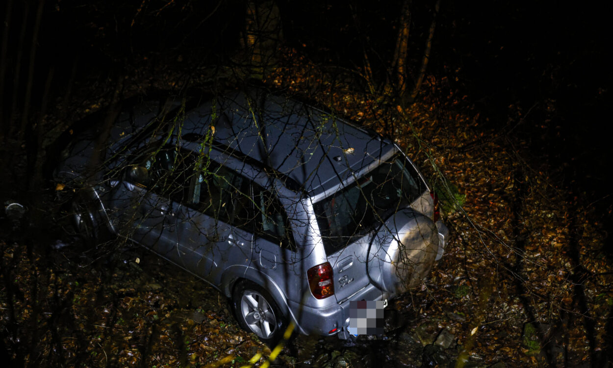 Ein silberner Pkw steht nachts abseits der Straße in einem bewaldeten Bereich. Das Fahrzeug befindet sich zwischen Bäumen und Laub am Hang, das Heck ist sichtbar, das Kennzeichen wurde unkenntlich gemacht.
