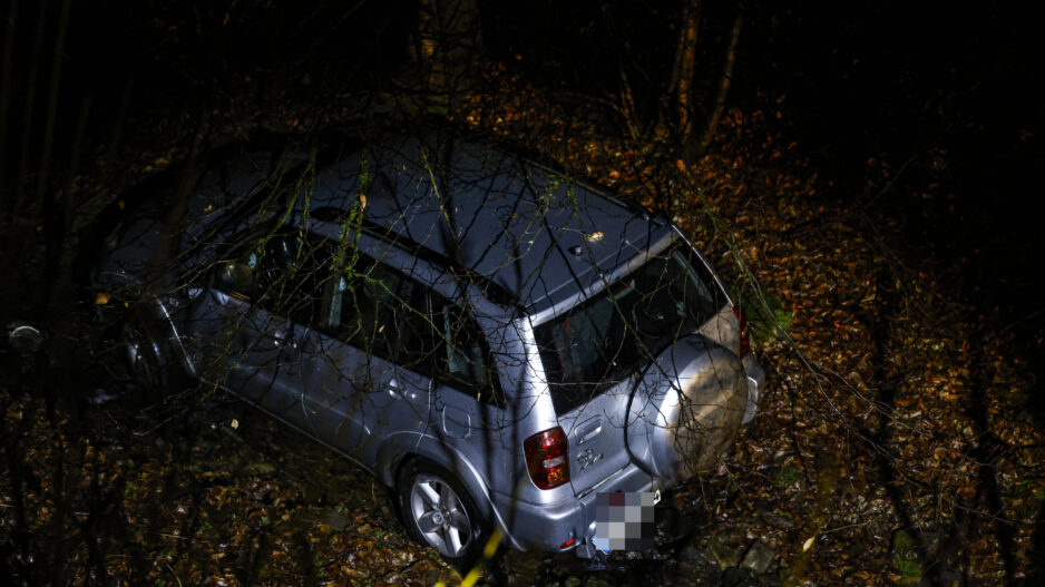 Ein silberner Pkw steht nachts abseits der Straße in einem bewaldeten Bereich. Das Fahrzeug befindet sich zwischen Bäumen und Laub am Hang, das Heck ist sichtbar, das Kennzeichen wurde unkenntlich gemacht.
