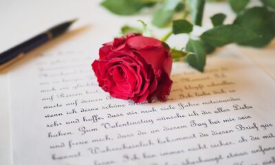 Eine rote Rose liegt auf einem handgeschriebenen Brief. Im Hintergrund sind ein Stift und die grünen Blätter der Rose unscharf zu sehen.