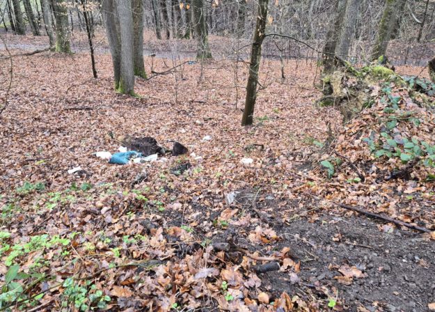 Foto: Ilka Kremer Wilde Müllkippe