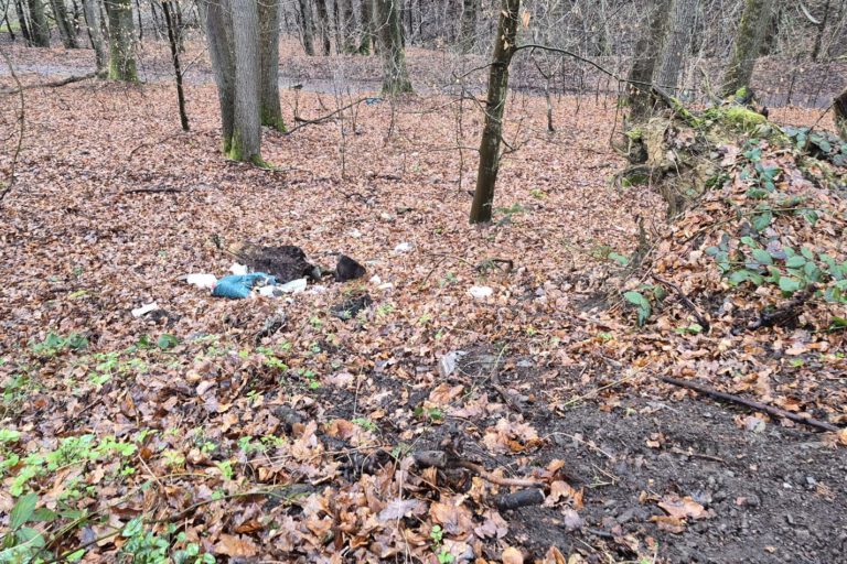 Foto: Ilka Kremer Wilde Müllkippe