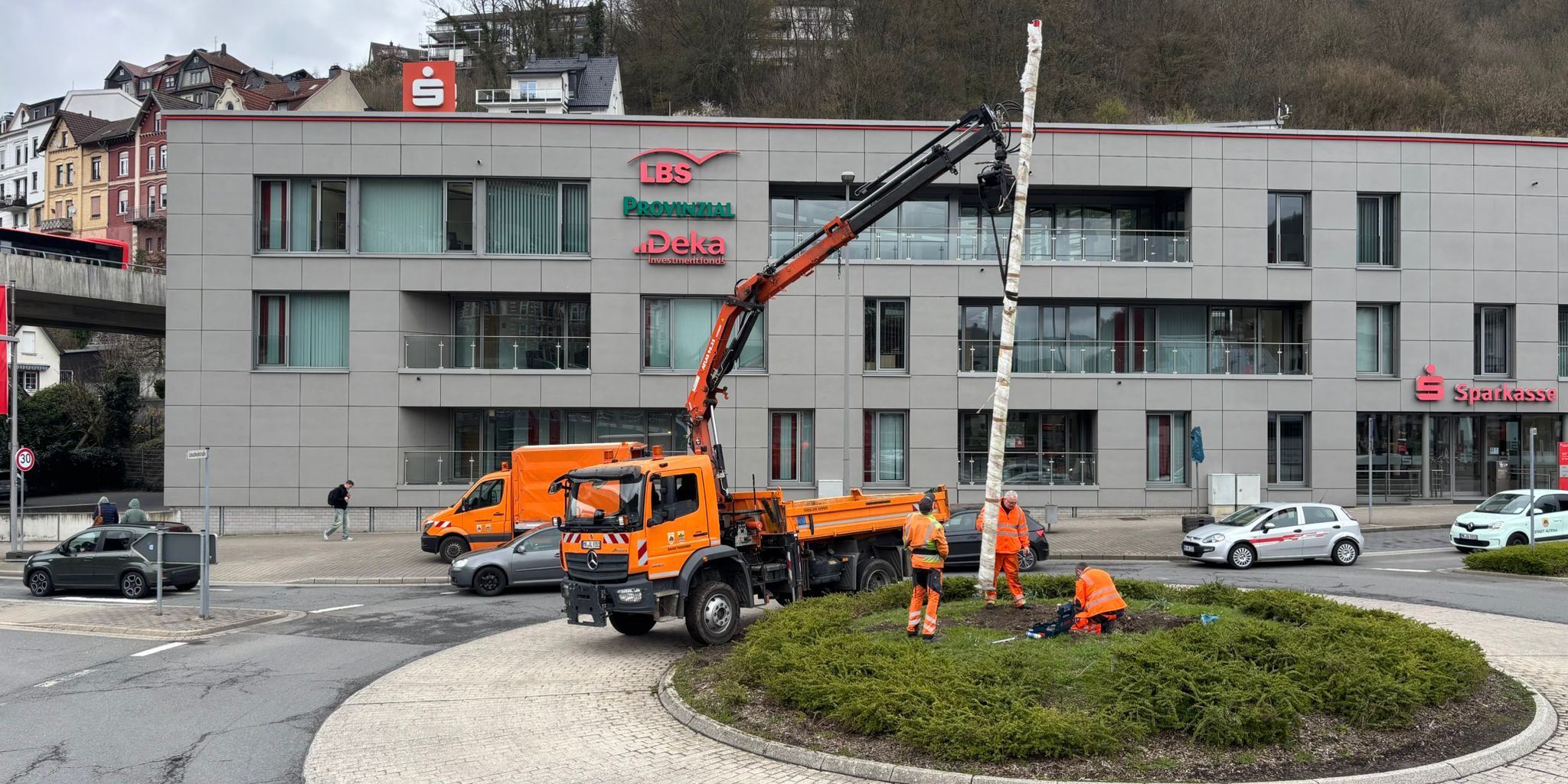 Arbeiter setzen mit Hilfe eines Krans den Maibaum auf einem Kreisverkehr vor einem Sparkassengebäude ein.