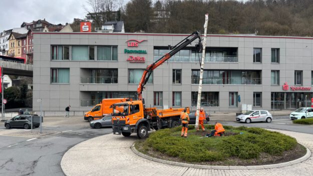 Arbeiter setzen mit Hilfe eines Krans den Maibaum auf einem Kreisverkehr vor einem Sparkassengebäude ein.