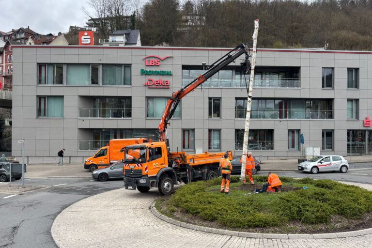 Arbeiter setzen mit Hilfe eines Krans den Maibaum auf einem Kreisverkehr vor einem Sparkassengebäude ein.