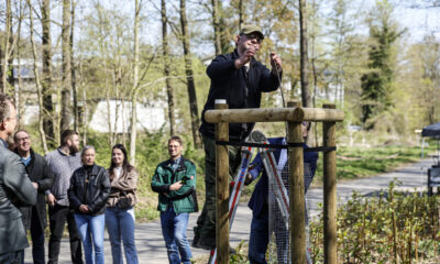 Mann steht auf einer Leiter und befestigt eine Konstruktion aus Holz an einem neu gepflanzten Baum, während mehrere Menschen daneben zuschauen.