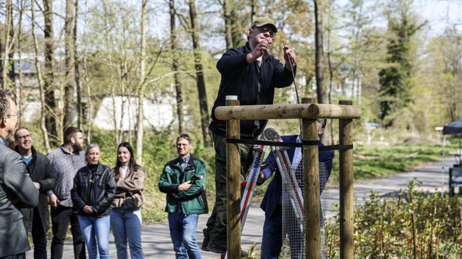 Mann steht auf einer Leiter und befestigt eine Konstruktion aus Holz an einem neu gepflanzten Baum, während mehrere Menschen daneben zuschauen.