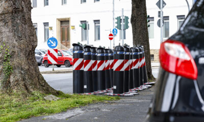 Mehrere schwarz-rote Absperrpoller stehen am Straßenrand zwischen Bäumen an einer Kreuzung in einem Wohngebiet.