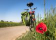 Ein Fahrrad am Wegesrand
