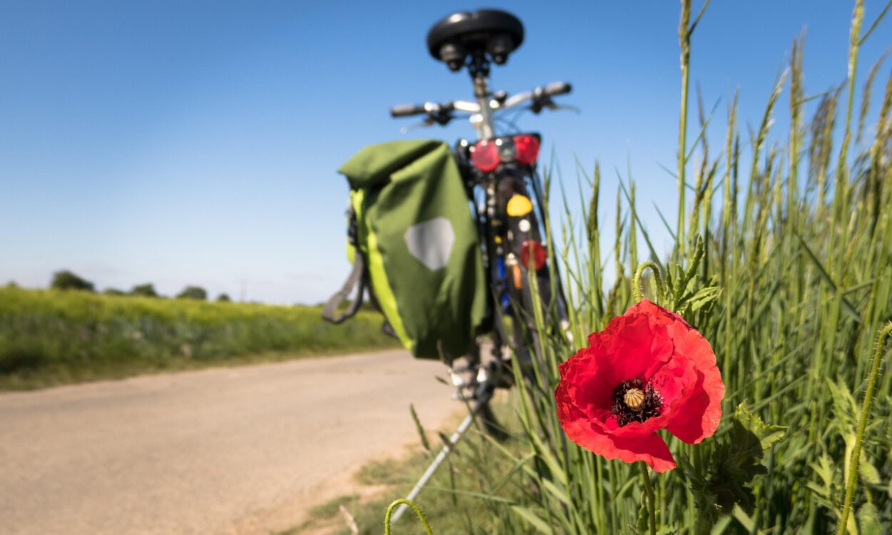 Ein Fahrrad am Wegesrand