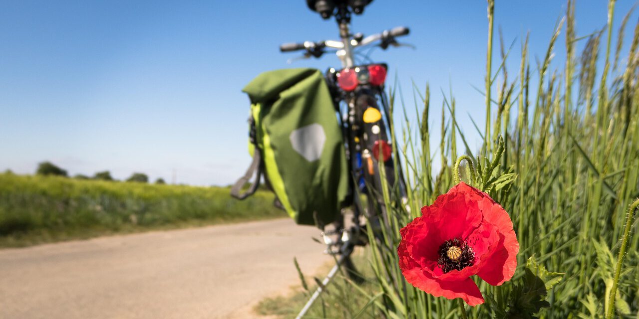 Ein Fahrrad am Wegesrand