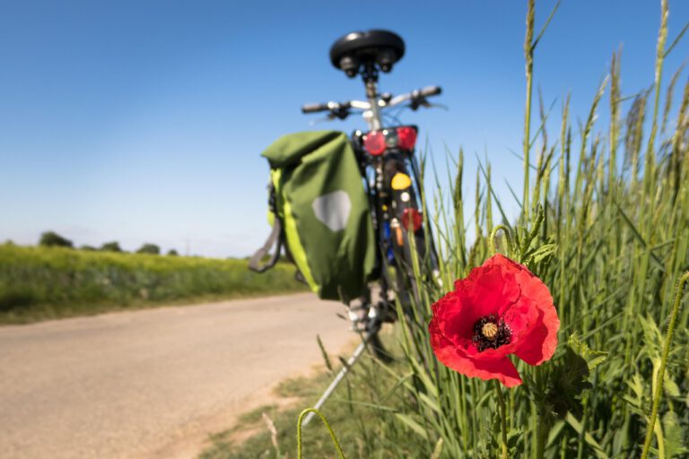 Ein Fahrrad am Wegesrand