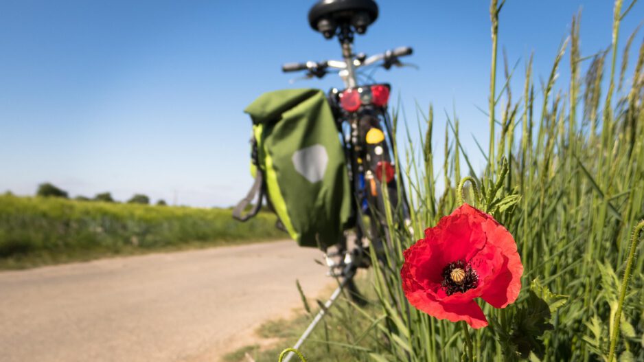 Ein Fahrrad am Wegesrand