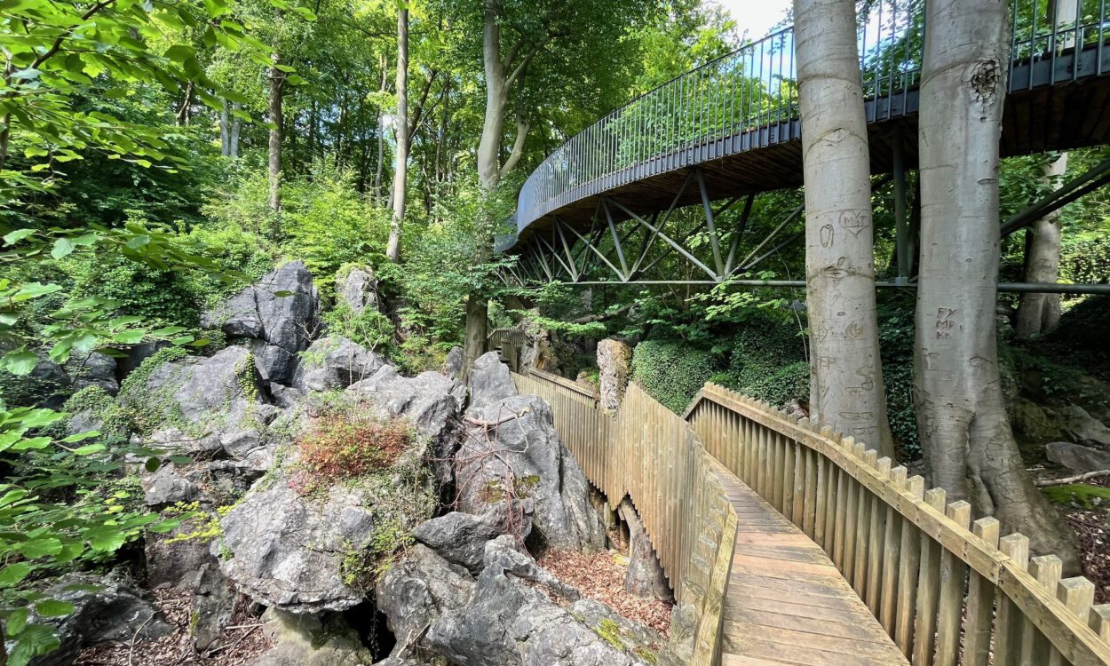 Ein hölzerner Steg führt durch eine felsige Waldlandschaft unterhalb einer geschwungenen Stahlbrücke. Hohe Bäume, große Felsformationen und dichtes Grün prägen die naturnahe Szenerie.