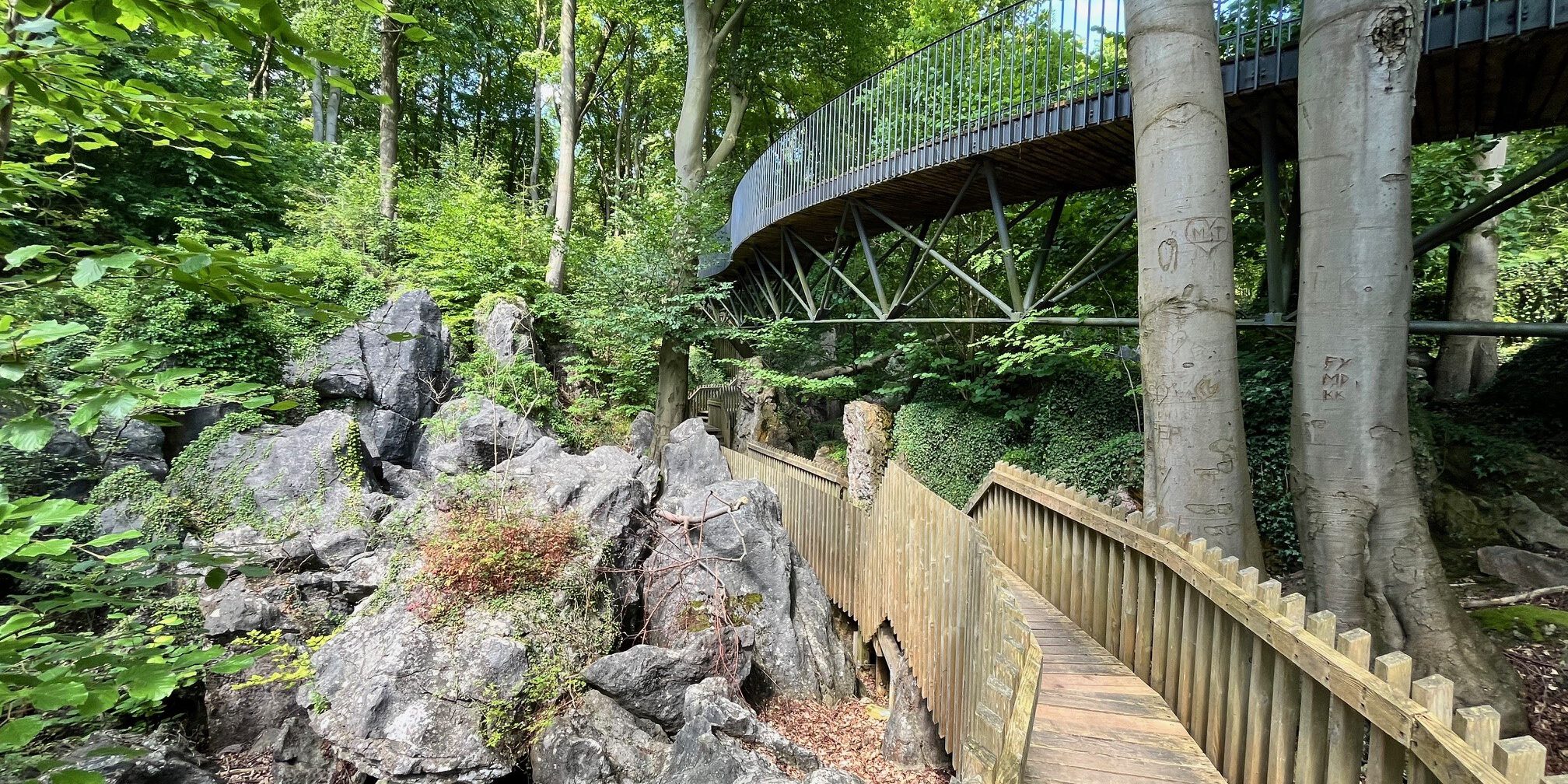 Ein hölzerner Steg führt durch eine felsige Waldlandschaft unterhalb einer geschwungenen Stahlbrücke. Hohe Bäume, große Felsformationen und dichtes Grün prägen die naturnahe Szenerie.