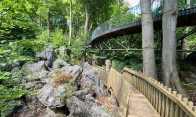 Ein hölzerner Steg führt durch eine felsige Waldlandschaft unterhalb einer geschwungenen Stahlbrücke. Hohe Bäume, große Felsformationen und dichtes Grün prägen die naturnahe Szenerie.