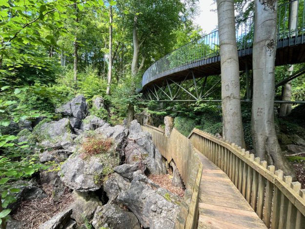Ein hölzerner Steg führt durch eine felsige Waldlandschaft unterhalb einer geschwungenen Stahlbrücke. Hohe Bäume, große Felsformationen und dichtes Grün prägen die naturnahe Szenerie.