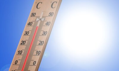 Ein Holzthermometer zeigt an einem sonnigen Tag eine Temperatur von rund 40 Grad Celsius an. Im Hintergrund strahlt eine helle Sonne vor einem wolkenlosen blauen Himmel. Die Aufnahme symbolisiert starke Sommerhitze und hohe Temperaturen.