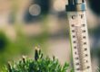 Nahaufnahme eines Außenthermometers in einem Garten oder auf einer Terrasse. Die Celsius- und Fahrenheit-Skalen sind gut erkennbar, die rote Flüssigkeit zeigt eine Temperatur von etwa 38 bis 40 Grad Celsius an. Im unscharfen Hintergrund sind grüne Pflanzen und helle Lichtreflexe zu sehen. Die Aufnahme verdeutlicht sommerliche Hitze.