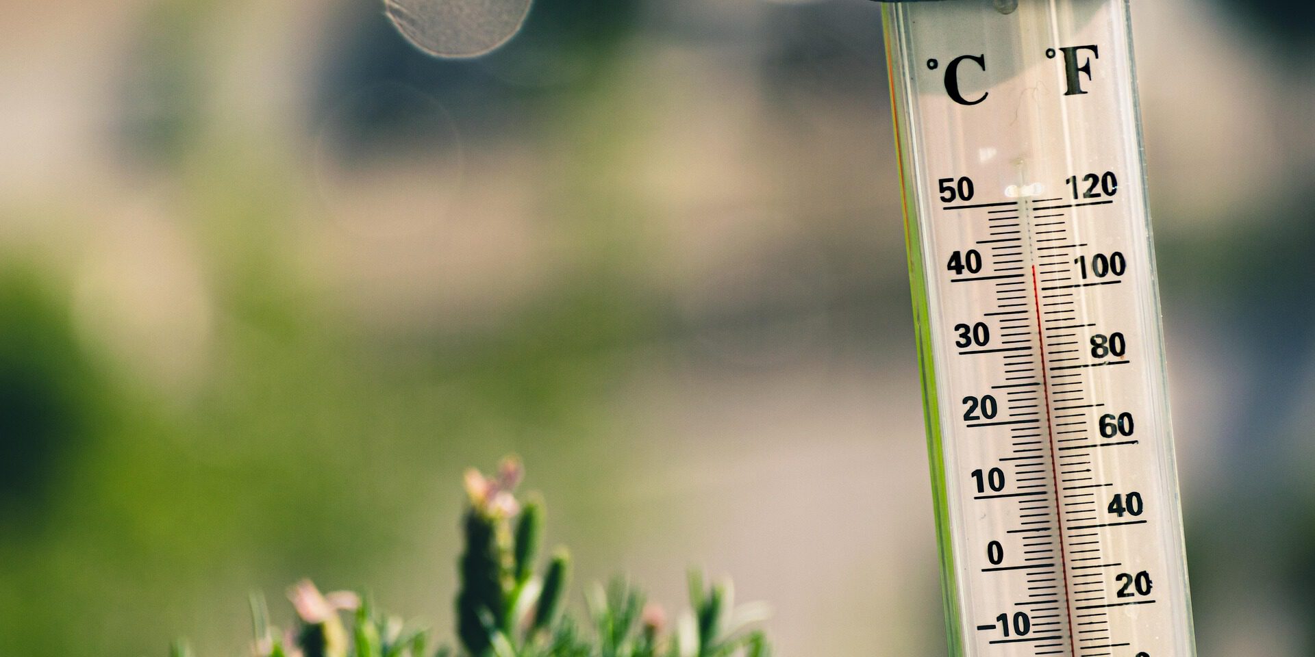Nahaufnahme eines Außenthermometers in einem Garten oder auf einer Terrasse. Die Celsius- und Fahrenheit-Skalen sind gut erkennbar, die rote Flüssigkeit zeigt eine Temperatur von etwa 38 bis 40 Grad Celsius an. Im unscharfen Hintergrund sind grüne Pflanzen und helle Lichtreflexe zu sehen. Die Aufnahme verdeutlicht sommerliche Hitze.