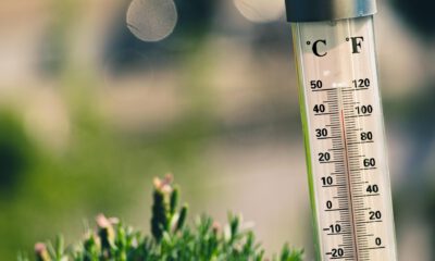 Nahaufnahme eines Außenthermometers in einem Garten oder auf einer Terrasse. Die Celsius- und Fahrenheit-Skalen sind gut erkennbar, die rote Flüssigkeit zeigt eine Temperatur von etwa 38 bis 40 Grad Celsius an. Im unscharfen Hintergrund sind grüne Pflanzen und helle Lichtreflexe zu sehen. Die Aufnahme verdeutlicht sommerliche Hitze.