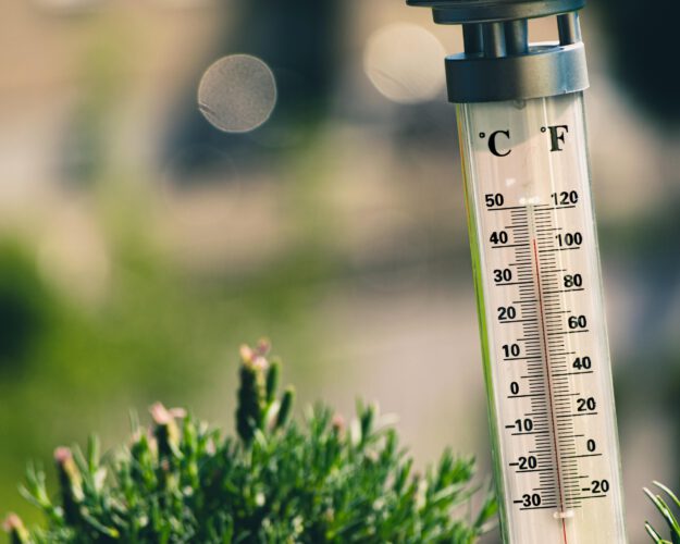 Nahaufnahme eines Außenthermometers in einem Garten oder auf einer Terrasse. Die Celsius- und Fahrenheit-Skalen sind gut erkennbar, die rote Flüssigkeit zeigt eine Temperatur von etwa 38 bis 40 Grad Celsius an. Im unscharfen Hintergrund sind grüne Pflanzen und helle Lichtreflexe zu sehen. Die Aufnahme verdeutlicht sommerliche Hitze.