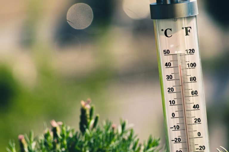 Nahaufnahme eines Außenthermometers in einem Garten oder auf einer Terrasse. Die Celsius- und Fahrenheit-Skalen sind gut erkennbar, die rote Flüssigkeit zeigt eine Temperatur von etwa 38 bis 40 Grad Celsius an. Im unscharfen Hintergrund sind grüne Pflanzen und helle Lichtreflexe zu sehen. Die Aufnahme verdeutlicht sommerliche Hitze.