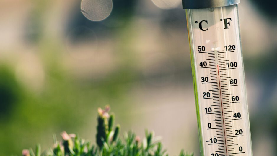 Nahaufnahme eines Außenthermometers in einem Garten oder auf einer Terrasse. Die Celsius- und Fahrenheit-Skalen sind gut erkennbar, die rote Flüssigkeit zeigt eine Temperatur von etwa 38 bis 40 Grad Celsius an. Im unscharfen Hintergrund sind grüne Pflanzen und helle Lichtreflexe zu sehen. Die Aufnahme verdeutlicht sommerliche Hitze.