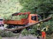 umgestürzter Baum Heimecke