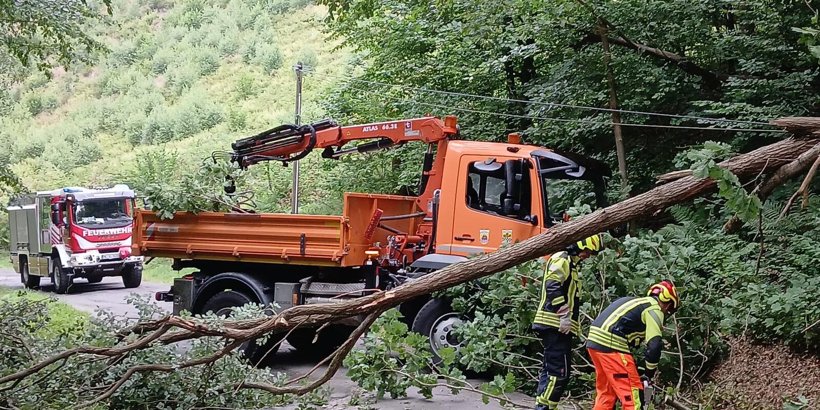 umgestürzter Baum Heimecke