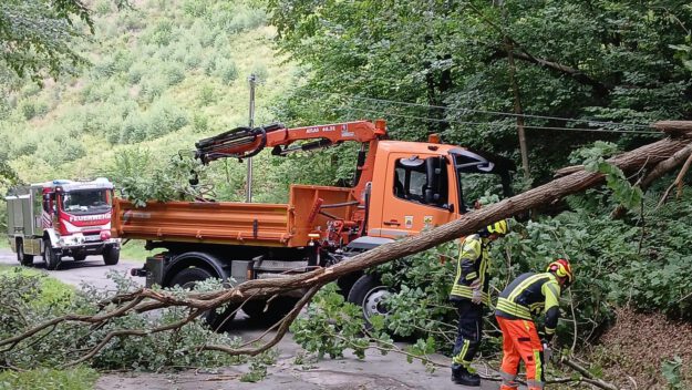 Foto: Feuerwehr Altena umgestürzter Baum Heimecke