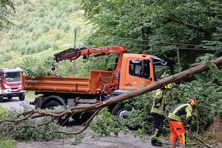 umgestürzter Baum Heimecke