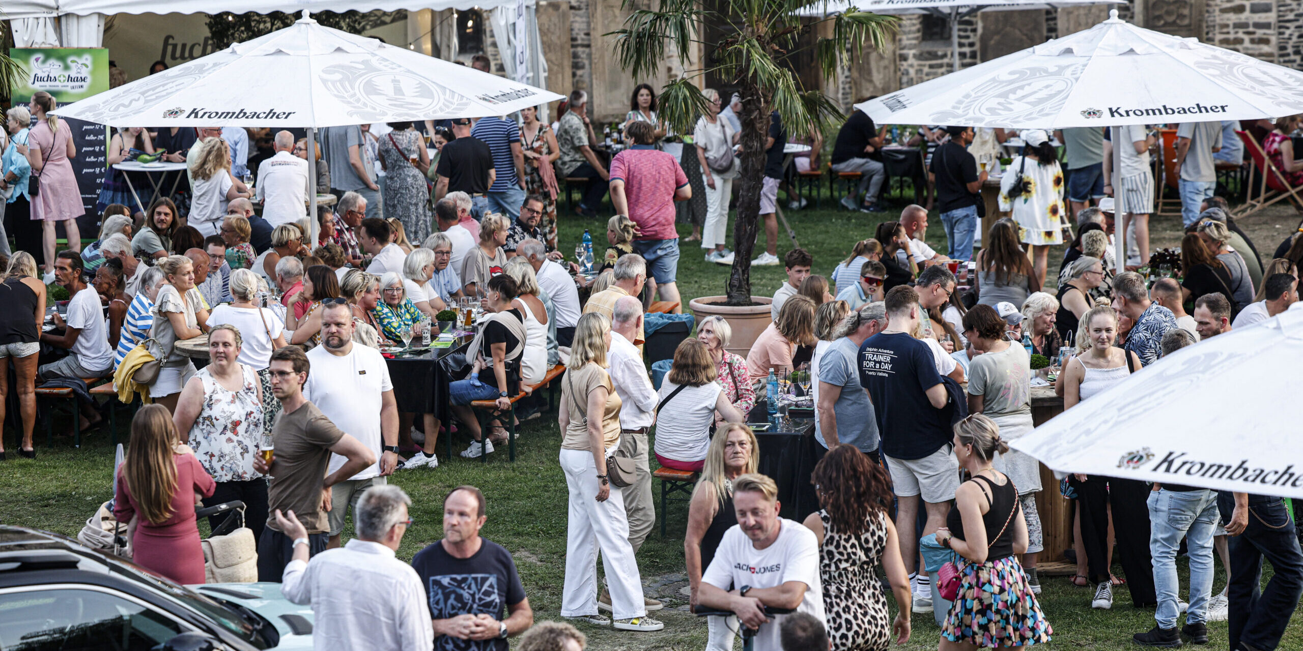 Zahlreiche Besucherinnen und Besucher genießen ein Sommerfest im Freien auf einer Wiese mit Bierbänken, Stehtischen und großen Sonnenschirmen. Die Menschen sitzen, stehen und unterhalten sich in entspannter Atmosphäre, während im Hintergrund ein historisches Gebäude und ein Festzelt zu sehen sind. Eine Palme in der Mitte des Geländes verleiht der Veranstaltung ein sommerliches Ambiente.