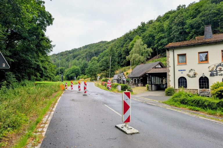 Foto: Kathrin Westerhoff Mehrere rot-weiße Leitbaken verengen die Fahrbahn einer Landstraße und weisen auf eine Baustelle hin. Die Straße führt durch ein bewaldetes Tal und verläuft an einem Wohnhaus sowie weiteren Gebäuden vorbei. Der nasse Asphalt und der bedeckte Himmel lassen auf regnerisches Wetter schließen, während die provisorische Verkehrsführung den Verkehr sicher an der Baustelle vorbeileitet.