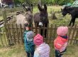 Ausflüge in die Natur mit der Tagesmutter