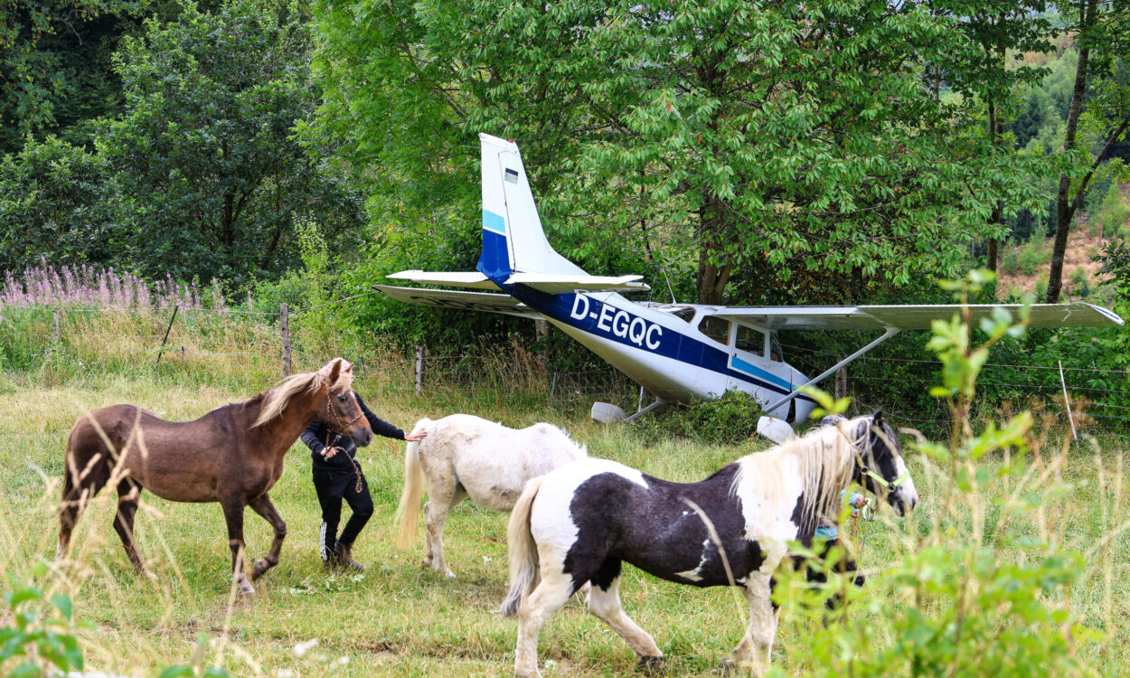 Drei Ponys werden von ihren Haltern über eine Wiese geführt. Im Hintergrund steht ein einmotoriges Kleinflugzeug, das nach einer Außenlandung zwischen Bäumen und Sträuchern zum Stillstand gekommen ist. Das Flugzeug wirkt äußerlich weitgehend unbeschädigt und befindet sich hinter einem Weidezaun. Die grüne, ländliche Umgebung bildet den Rahmen für die ungewöhnliche Szene.