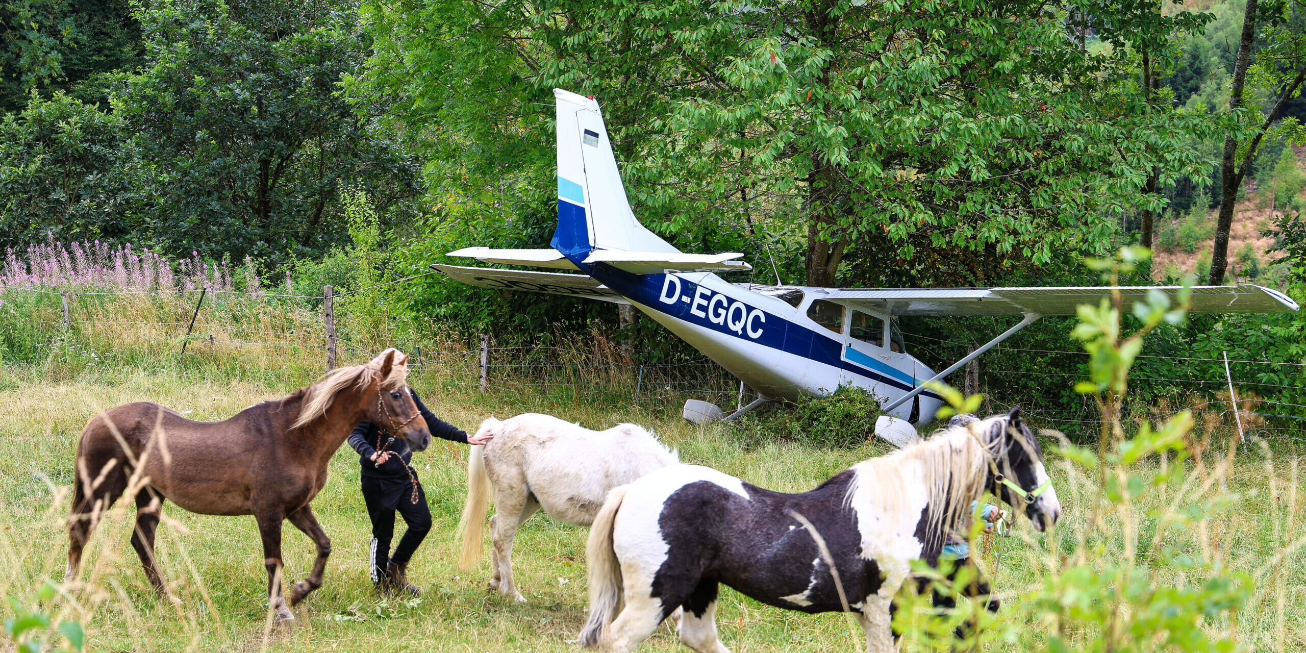 Drei Ponys werden von ihren Haltern über eine Wiese geführt. Im Hintergrund steht ein einmotoriges Kleinflugzeug, das nach einer Außenlandung zwischen Bäumen und Sträuchern zum Stillstand gekommen ist. Das Flugzeug wirkt äußerlich weitgehend unbeschädigt und befindet sich hinter einem Weidezaun. Die grüne, ländliche Umgebung bildet den Rahmen für die ungewöhnliche Szene.