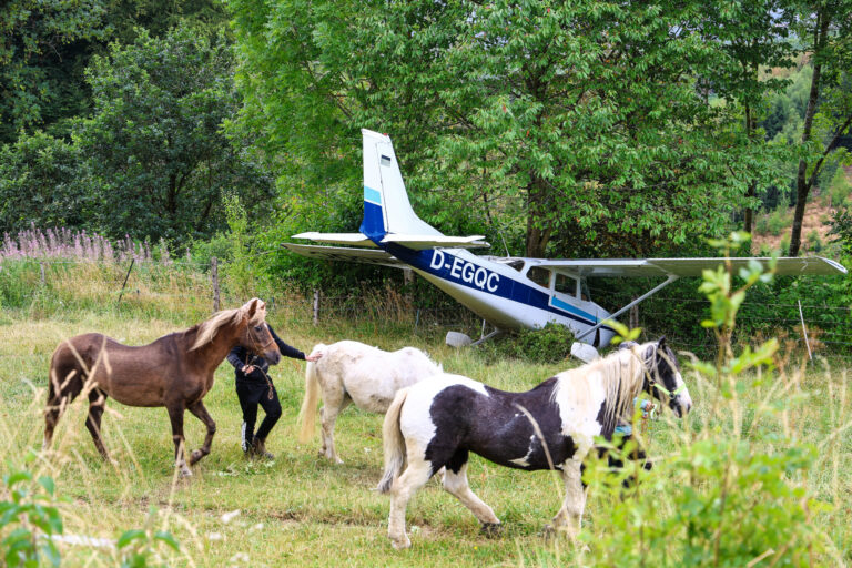 Drei Ponys werden von ihren Haltern über eine Wiese geführt. Im Hintergrund steht ein einmotoriges Kleinflugzeug, das nach einer Außenlandung zwischen Bäumen und Sträuchern zum Stillstand gekommen ist. Das Flugzeug wirkt äußerlich weitgehend unbeschädigt und befindet sich hinter einem Weidezaun. Die grüne, ländliche Umgebung bildet den Rahmen für die ungewöhnliche Szene.