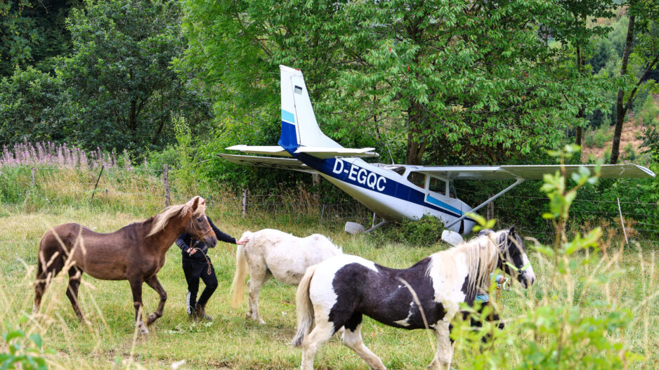 Drei Ponys werden von ihren Haltern über eine Wiese geführt. Im Hintergrund steht ein einmotoriges Kleinflugzeug, das nach einer Außenlandung zwischen Bäumen und Sträuchern zum Stillstand gekommen ist. Das Flugzeug wirkt äußerlich weitgehend unbeschädigt und befindet sich hinter einem Weidezaun. Die grüne, ländliche Umgebung bildet den Rahmen für die ungewöhnliche Szene.