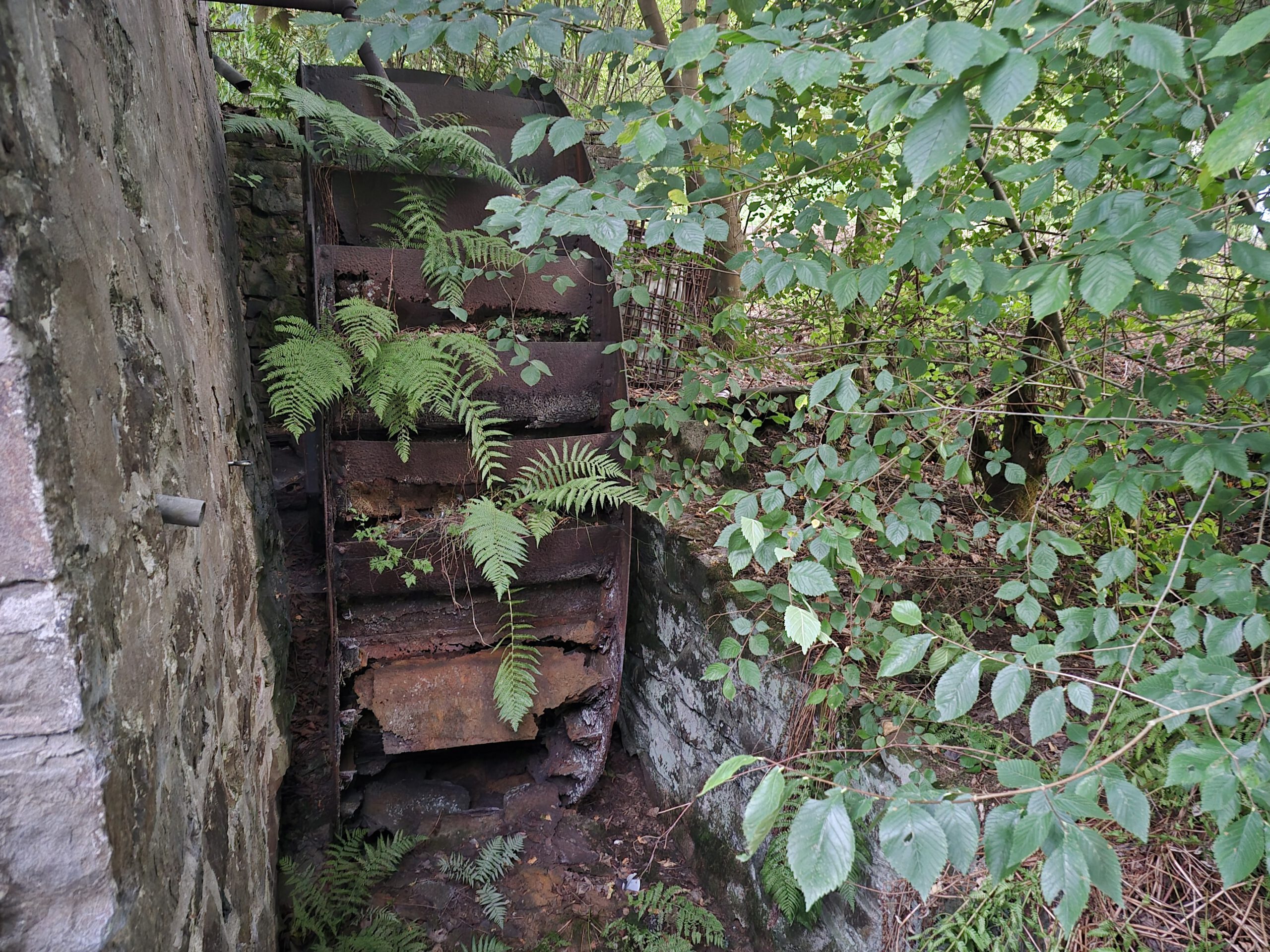 Das zugewachsene Wasserrad