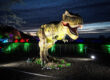 Ein großer, beleuchteter Tyrannosaurus rex mit geöffnetem Maul steht bei einer nächtlichen Dinosaurier-Ausstellung. Bäume und Hecken im Hintergrund sind in kräftigem Grün, Rot, Blau und Violett angestrahlt.