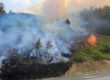 Waldbrand Brachtenbecker Weg