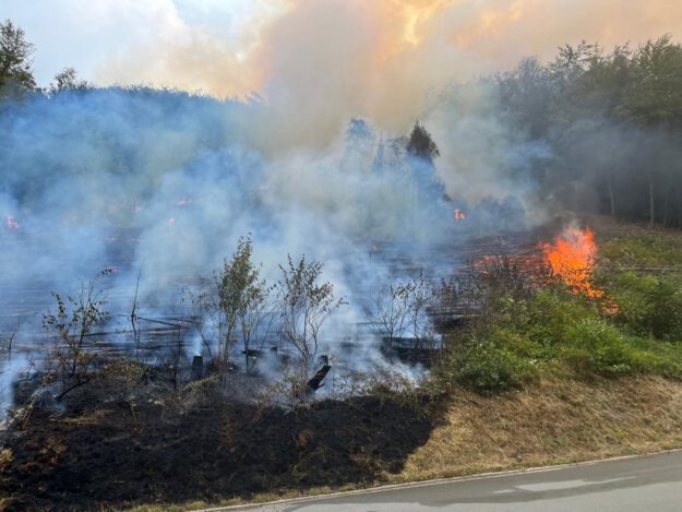 Waldbrand Brachtenbecker Weg