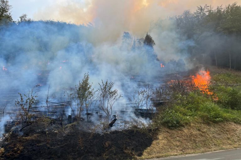 Waldbrand Brachtenbecker Weg
