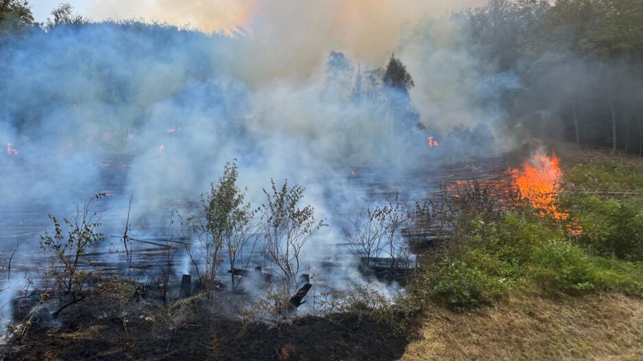 Waldbrand Brachtenbecker Weg