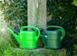 Zwei grüne Kunststoff-Gießkannen stehen nebeneinander unter einem Wasserhahn mit angeschlossenem Gartenschlauch. Im Hintergrund wächst dichter Efeu an einer Mauer, während Gräser und weitere Pflanzen die kleine Wasserstelle umgeben.