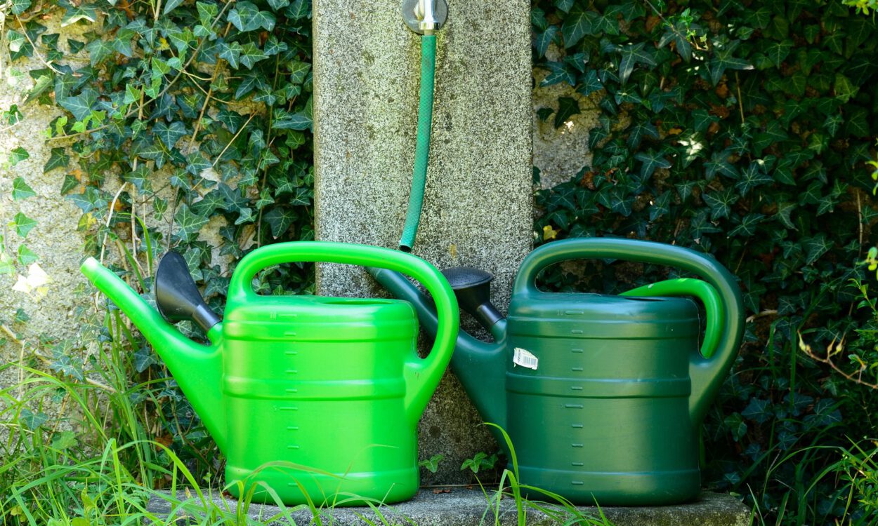 Zwei grüne Kunststoff-Gießkannen stehen nebeneinander unter einem Wasserhahn mit angeschlossenem Gartenschlauch. Im Hintergrund wächst dichter Efeu an einer Mauer, während Gräser und weitere Pflanzen die kleine Wasserstelle umgeben.